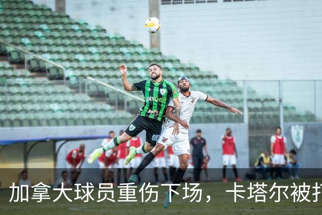 加拿大球员重伤下场，卡塔尔被打爆，“输球又输人”